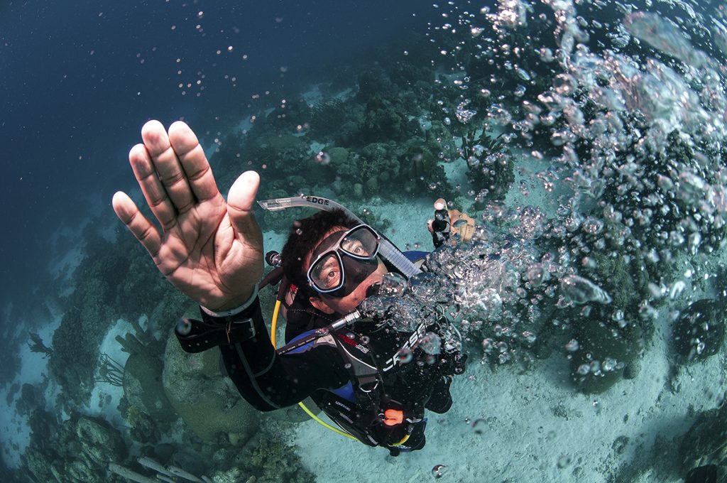 Key West Scuba Diving Refresher Course & Dive Image 1