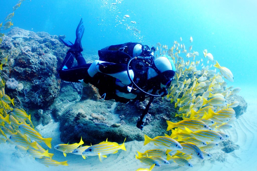 Key West Scuba Diving Refresher Course & Dive Image 3