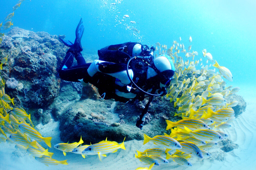 Key West Afternoon 2-Tank Reef SCUBA Dive Image 1