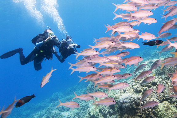 Key West Afternoon 2-Tank Reef SCUBA Dive Image 2