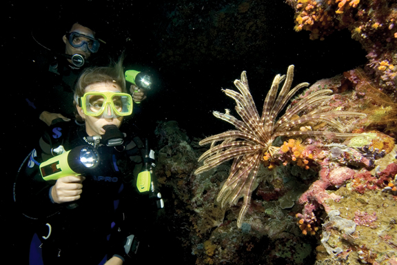 Key West Night 1-Tank Night Scuba Dive Image 2