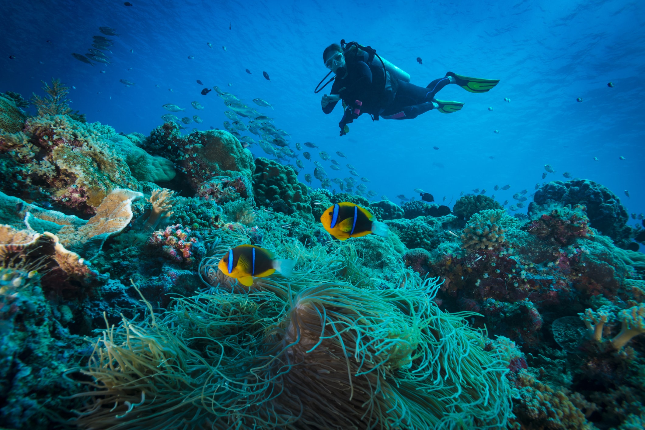 Key West Scuba Diving in April | Key West Scuba Diving
