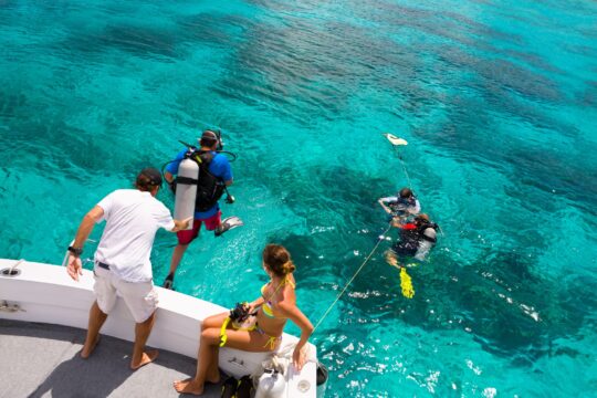 Explore the Florida Keys National Marine Sanctuary