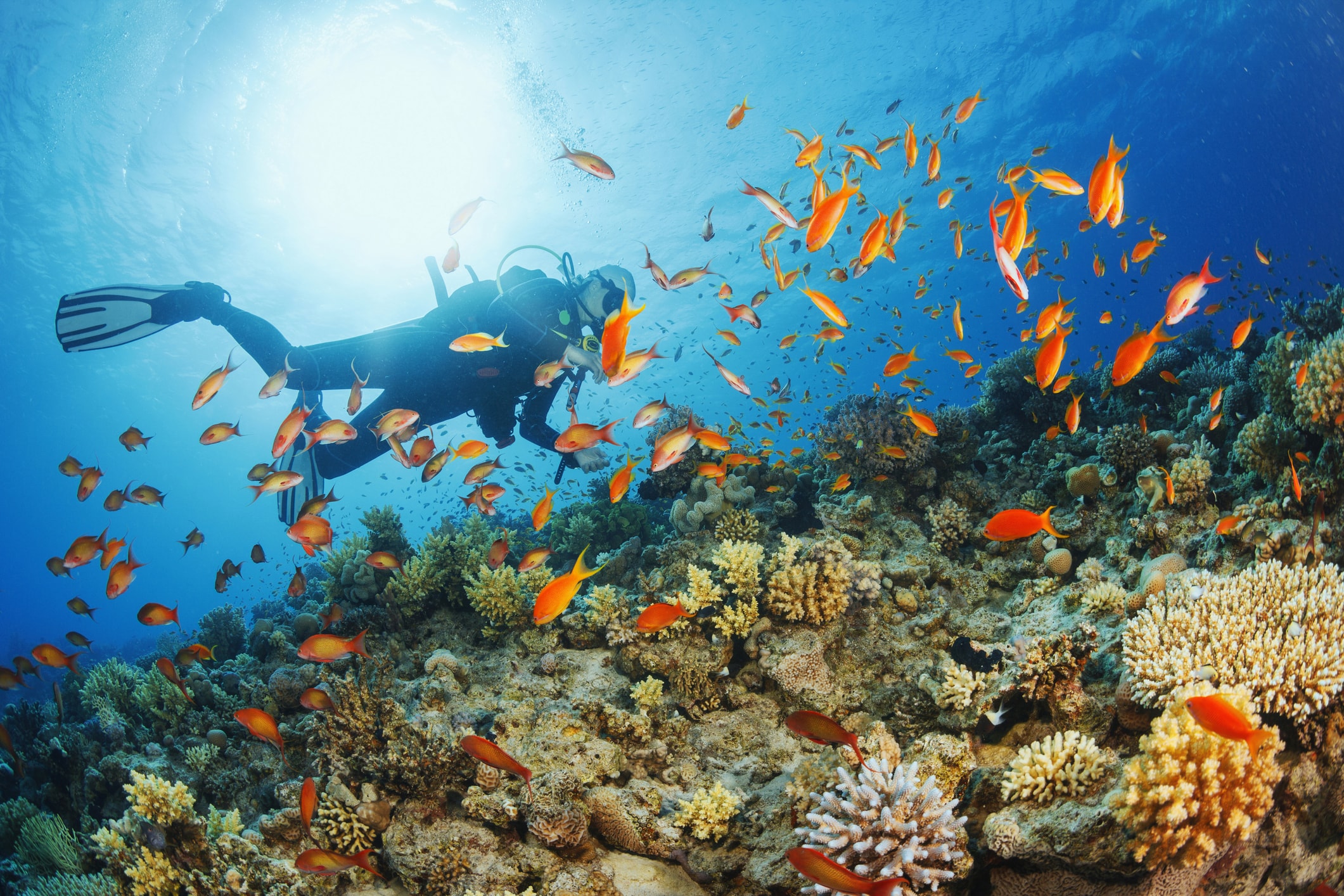 About Us | Key West Scuba Diving