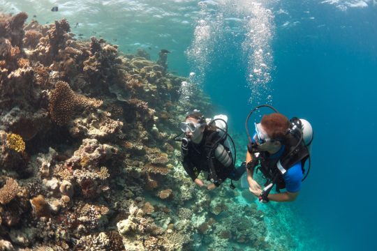 Key West Scuba Diving Trip Report: 10 Insider Tips for Getting the Most Out of Your PADI® Discover Scuba Diving Resort Course